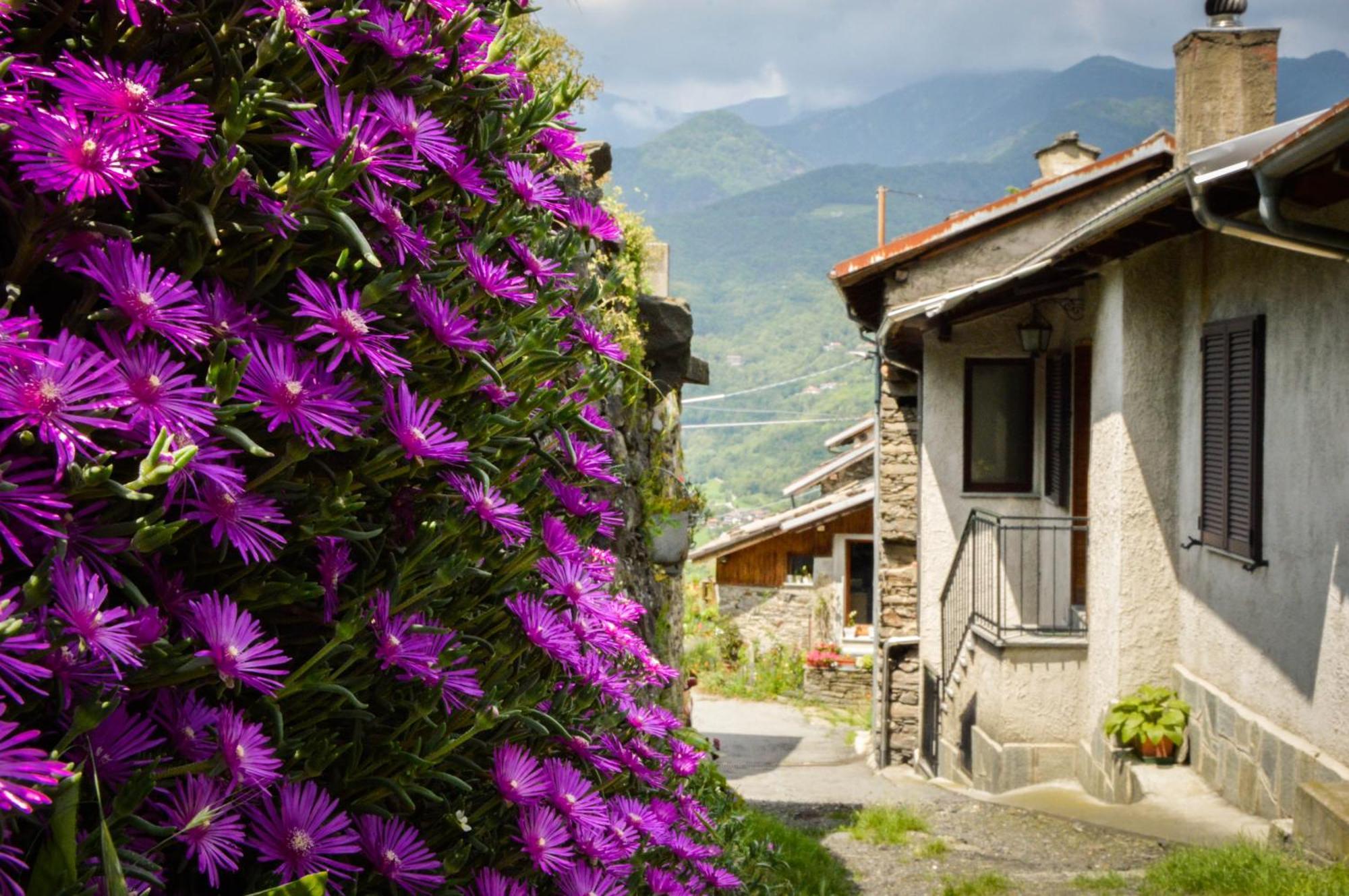Chalet In Pietra E Legno Con Caminetto Inverso Pinasca 외부 사진